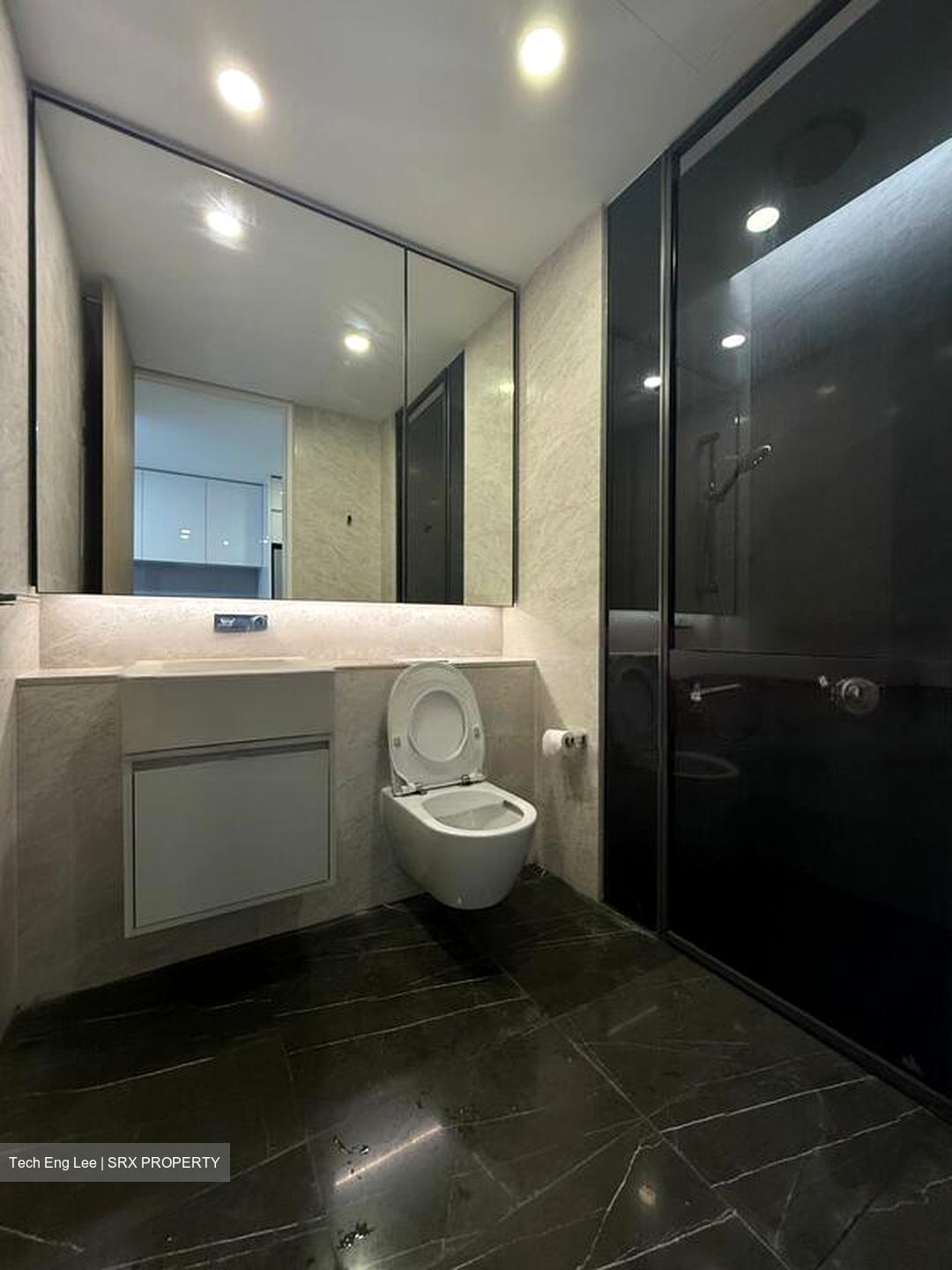 Amber Park (D15), Condominium #469126921